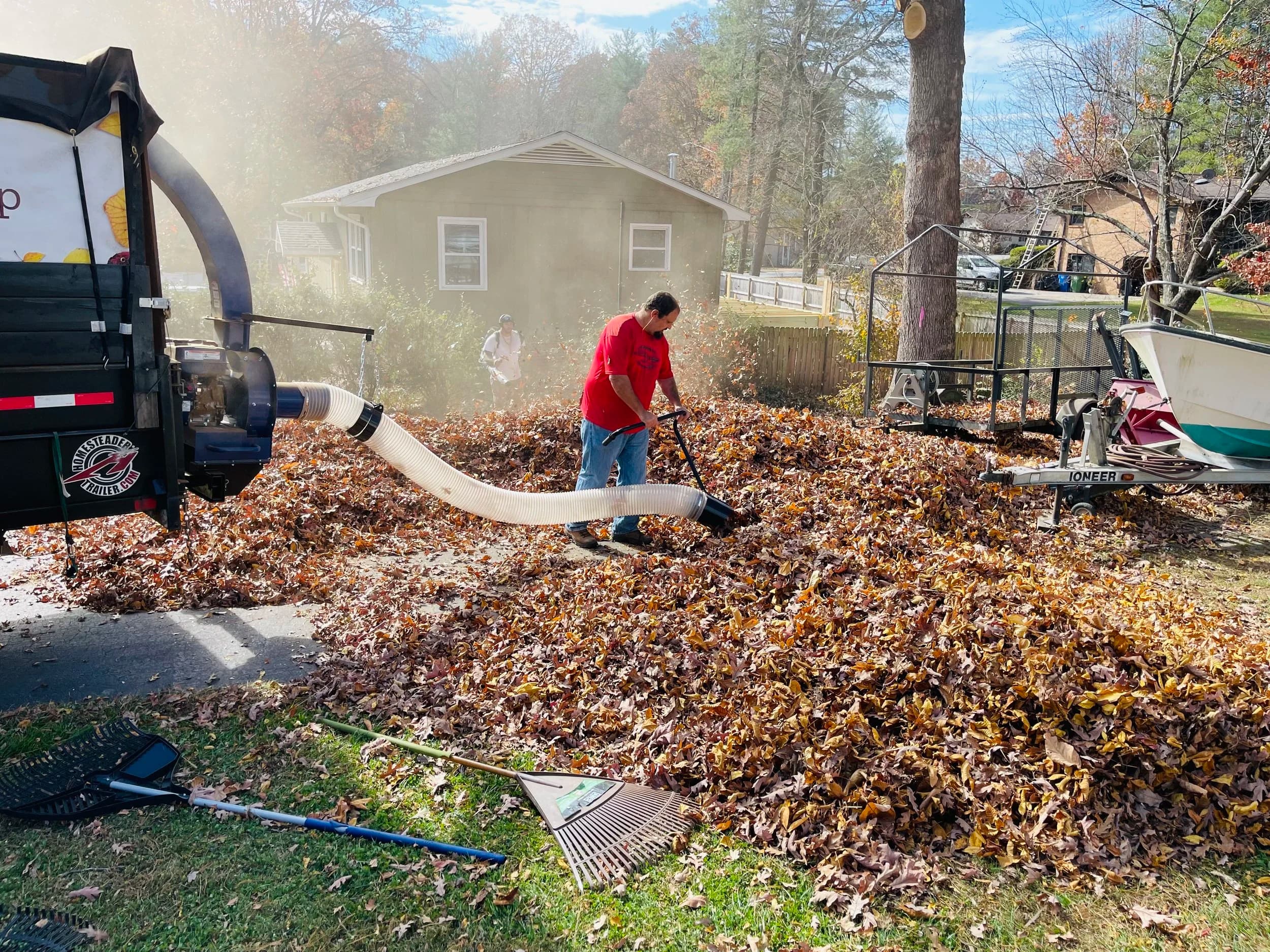 Leaf Removal in Central