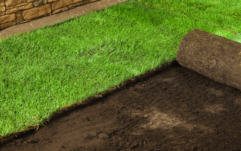 Sod Installation Services in Central, LA